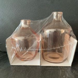 NEW    Peach Vases (2PK)